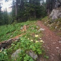 Baker Gulch Trail